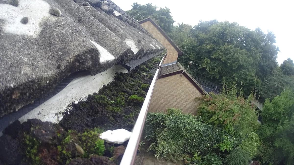 Before: Moss beside a dormer gutter, then the gutter cleared